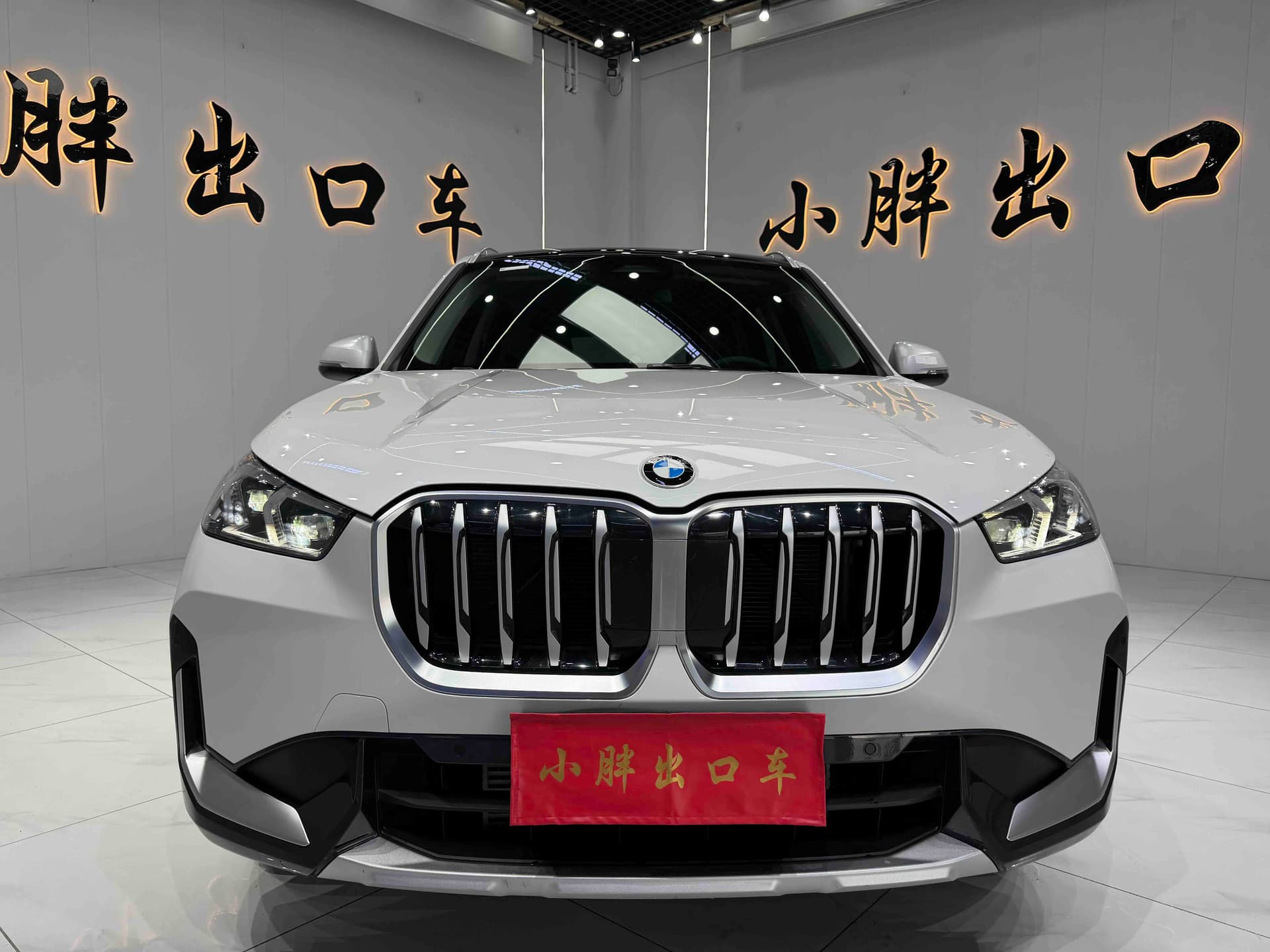 BMW X1 — 2